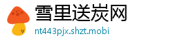 雪里送炭网